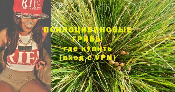 гидра Белоозёрский