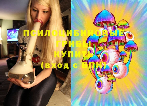 марки lsd Белокуриха