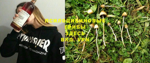гидра Белоозёрский