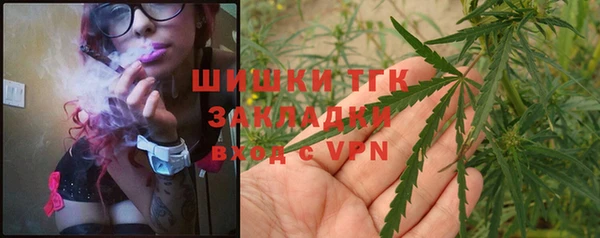 гидра Белоозёрский
