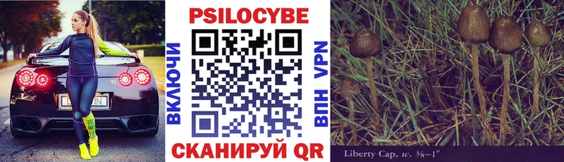 Галлюциногенные грибы GOLDEN TEACHER цена Полесск
